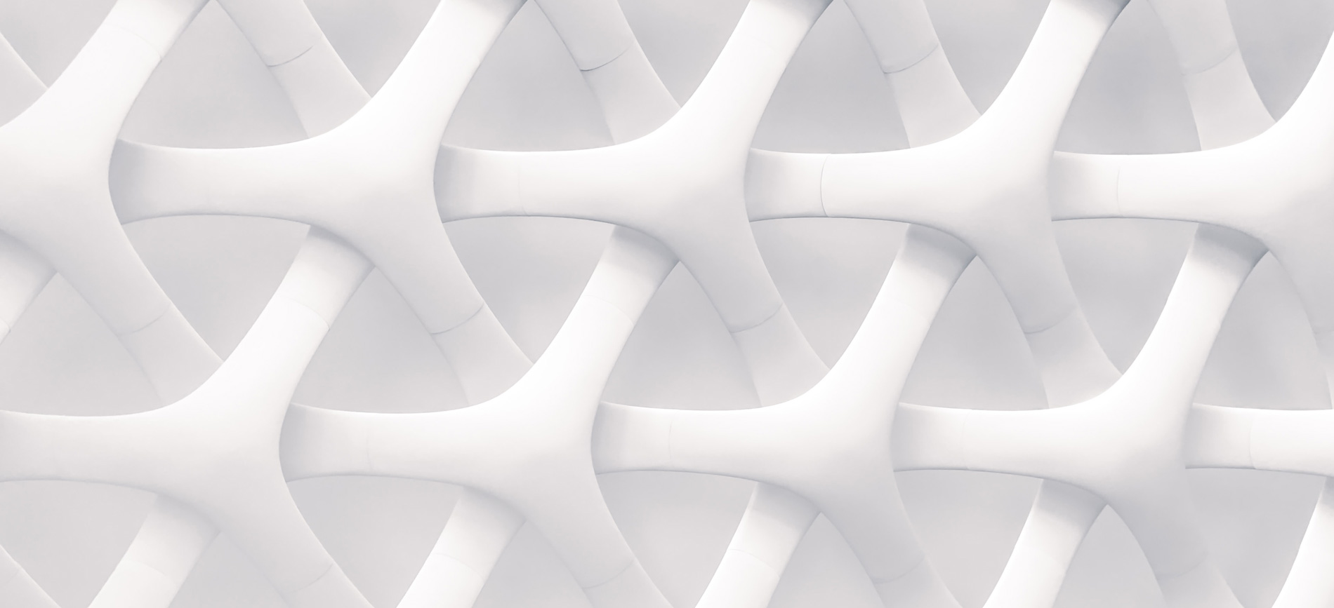 26 - 27 mars, 2025 <br>LYON - FRANCE